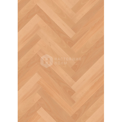 Паркет Елочка Boen Prestige BDN23P6D Бук Натур под лаком, 470*70*10 мм