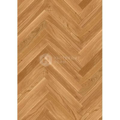 Паркет Елочка Boen Prestige EIN2TP6D Дуб Бэйсик под лаком, 470*70*10 мм