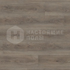 DLC 00029 Дуб Омера Серый