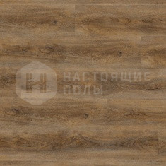 DLC 00027 Дуб Омера Темный