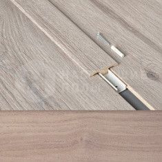 63000208 Дуб Бретань