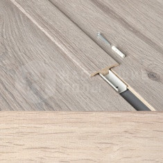 63000183 Дуб Ванильный