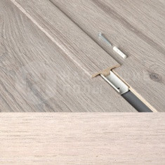 63000202 Дуб Гранада