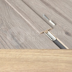 63000191 Дуб Загородный