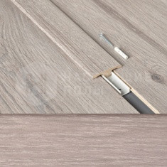 63000204 Дуб Калабрия