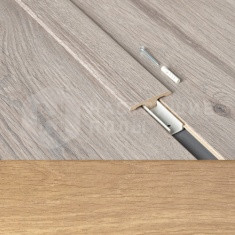 63000182 Дуб Лемон