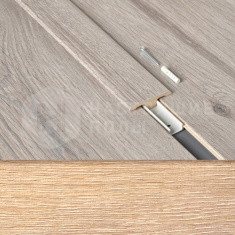 63000275 Дуб Португальский