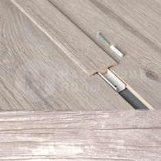 63000198 Дуб Сельский