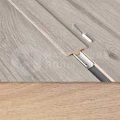 63000193 Дуб Тюльпан