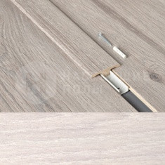 63000201 Дуб Уэльс