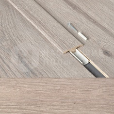 63000200 Дуб Фландрия