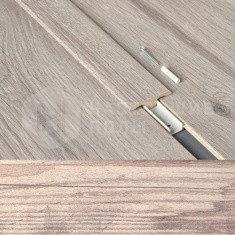 63000188 Сосна Канадская