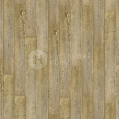 Ламинат Tarkett Pilot 504418005 Дуб Отто