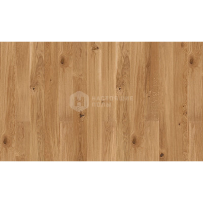 Паркетная доска Boen Gent EIGDVKJD Дуб Виво однополосный под маслом, 2200*181*14 мм
