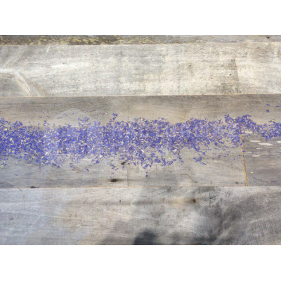 Потолочно-стеновые панели Admonter Galleria Impression Ольха Серая старая восстановленная с цветами синего василька, 2400*244*19 мм