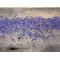 Потолочно-стеновые панели Admonter Galleria Impression Ольха Серая старая восстановленная с цветами синего василька, 2400*244*19 мм