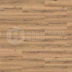 537257 Дуб Италика Натур структурированный