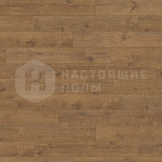 535644 Дуб Портлэнд Янтарный однополосный