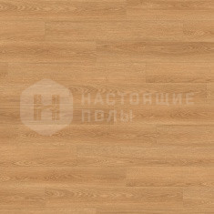 535643 Дуб Элеганс однополосный