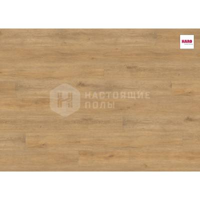 Ламинат Haro Tritty 100 Gran Via 4V 534456 Дуб Юбилейный Натур однополосный, 2200*243*8 мм