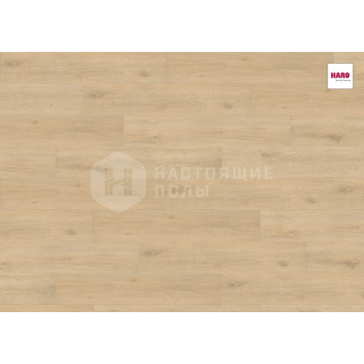 Ламинат Haro Tritty 100 Campus 534455 Дуб Юбилейный Пуро однополосный, 1282*243*8 мм