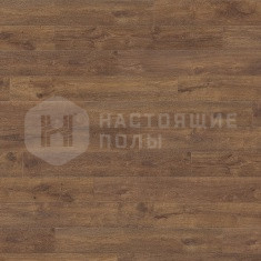 533110 Дуб с янтарной сердцевиной однополосный