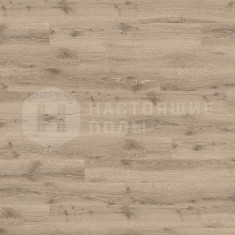 528186 Дуб Невара Беленый однополосный