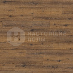 530331 Дуб Италика Дымчатый однополосный