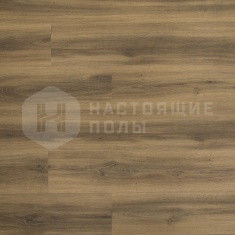 FF-1462 Дуб Готланд