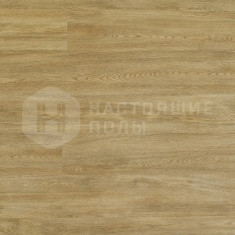 FF-1471 Дуб Римини