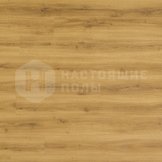 FF-1472 Дуб Монца