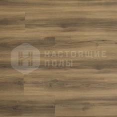 FF-1562 Дуб Готланд