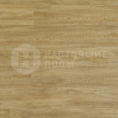 FF-1571 Дуб Римини