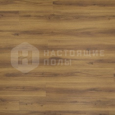 FF-1573 Дуб Новара