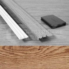 545 Дуб фламандский старинный