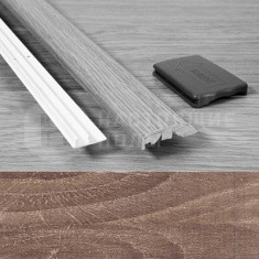 703 Дуб замковый старый