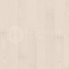 Ясень Воздух однополосный