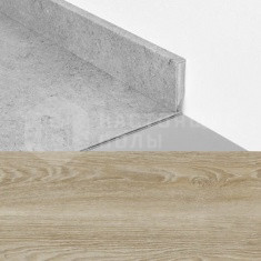 50230 Дуб Скарлет