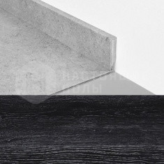 50985 Дуб Скарлет