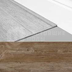 Финишная лента 24852 Сосна Латинская