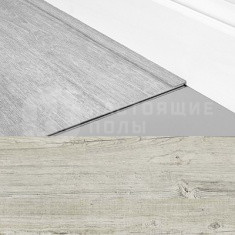 Финишная лента 24142 Сосна Латинская