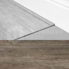 Финишная лента 24868 Сосна Латинская