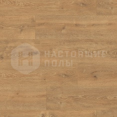 EPC001 Дуб Уолтем натуральный