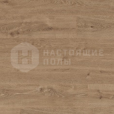 EPC005 Дуб Клермон серый