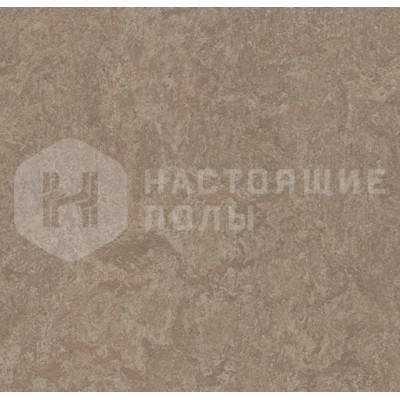 Натуральный линолеум рулонный Marmoleum Real 2.5 3246 Shrike