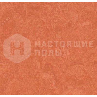 Натуральный линолеум рулонный Marmoleum Real 2.5 3243 Stucco Rosso