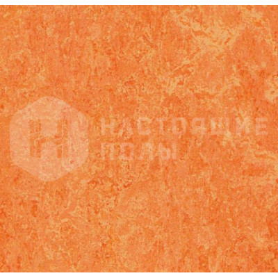 Натуральный линолеум рулонный Marmoleum Real 2.5 3241 Orange Sorbet