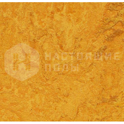 Натуральный линолеум рулонный Marmoleum Real 2.0 3125 Golden Sunset