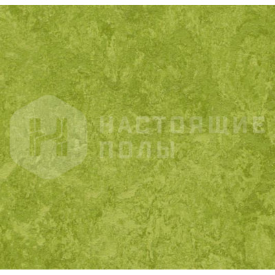 Натуральный линолеум рулонный Marmoleum Real 2.5 3247 Green