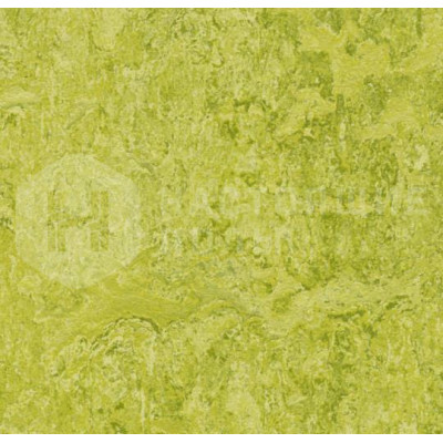 Натуральный линолеум рулонный Marmoleum Real 2.0 3224 Chartreuse